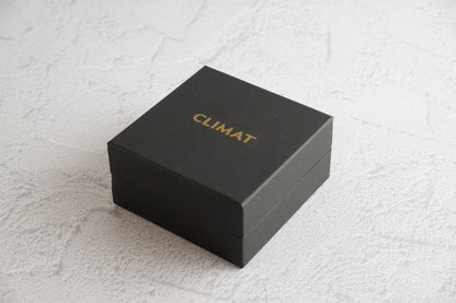 ブルードヴェルニュチーズケーキ　ホール4号×1